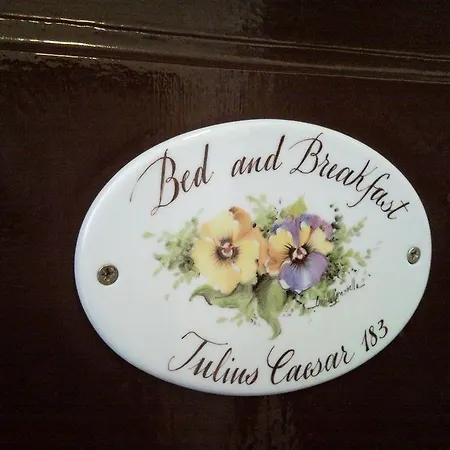 Konukevi Blue Vatican Roma